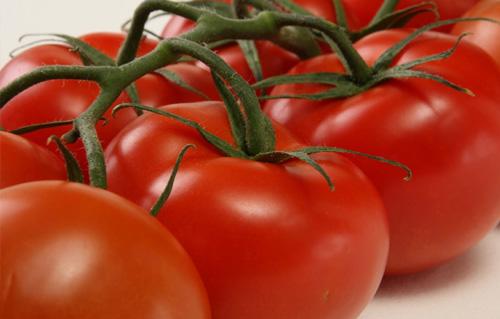   زيادة صادرات الموالح والطماطم والمانجو خلال 2017/2018