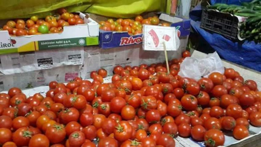   نقيب عام الفلاحين يشرح أسباب ارتفاع أسعار الطماطم.. ويضع الحلول