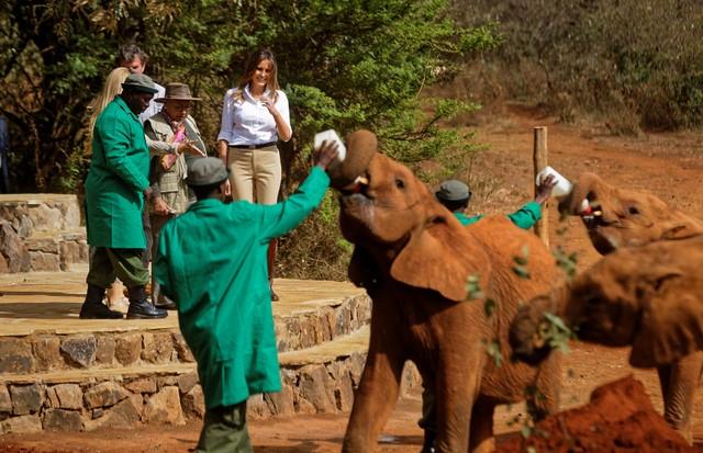   صور| ميلانيا ترامب تزور المحمية الوطنية في كينيا