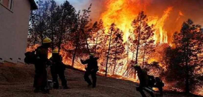   ارتفاع حصيلة ضحايا حرائق الغابات في كاليفورنيا إلى 50 قتيلًا