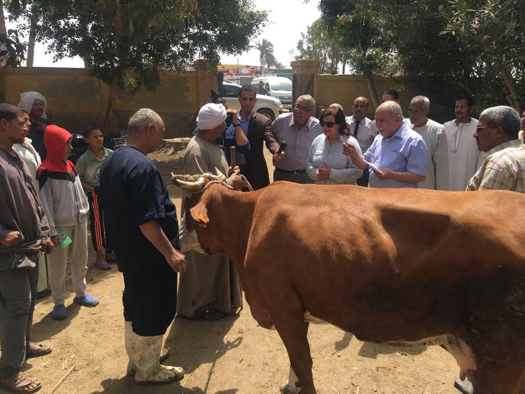   الزراعة : تحصين 3406010 ماشية من الحمى القلاعية والوادي المتصدع وتقرر إستمرار الحملة حتى 8 نوفمبر 
