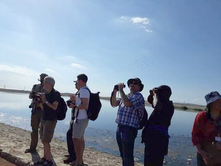   زيارات ميدانية لمشاهدة الطيور المهاجرة بمنطقة بحيرات الأكسدة بشرم الشيخ