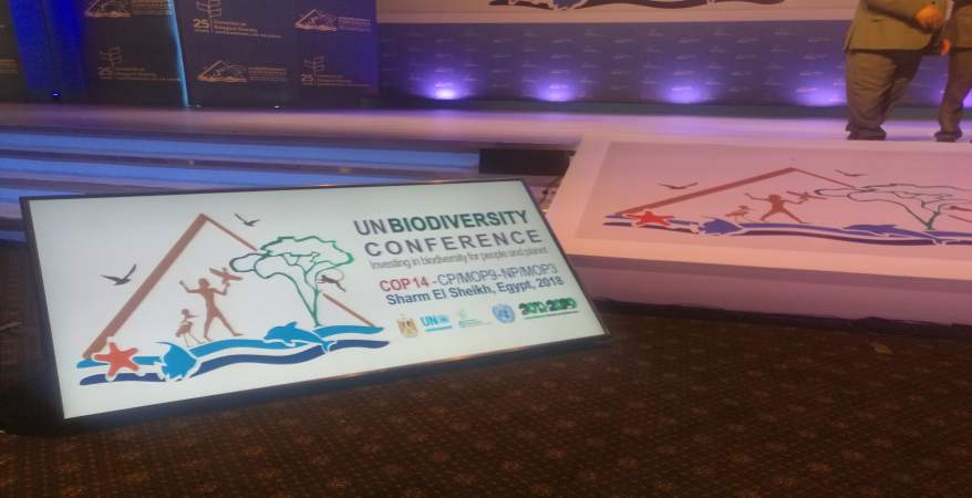   صور| تواصل الاستعدادات لاستضافة مؤتمر التنوع البيولوجى بشرم الشيخ