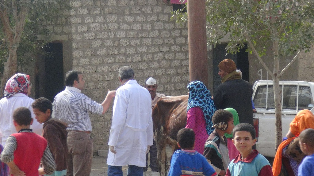   توقيع الكشف الطبي على 915 حالة في قافلة لجامعة المنيا