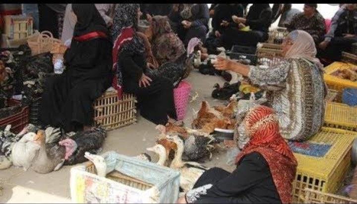   المواطنون يشتكون من سلوك التجار في سوق «السبع آبار الغربية» و يطالبون المسئولين بإيجاد حل