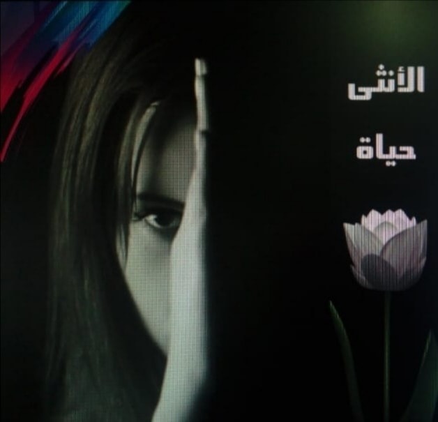   « الأنثى حياة » احتفالية بالمرأة فى متحف محمود خليل.. مساء اليوم الأحد