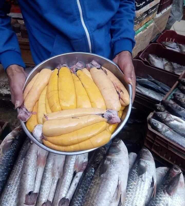   انخفاض سعر كيلو البطارخ بأسواق بيع الأسماك بدمياط من 450 إلى 350 جنيه