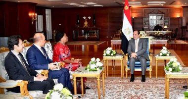   بسام راضى: الرئيس السيسى يؤكد لسكرتير «الكوميسا» مصر عادت للتواجد المؤثر والفعال على الساحة الإفريقية