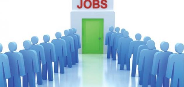   15 ألف وظيفة في ملتقى توظيف القوى العاملة بالإسماعيلية