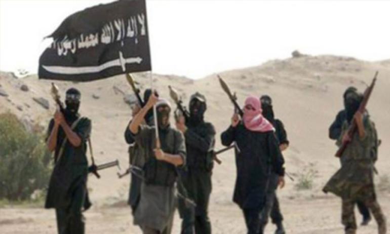   العثور على وثائق عمليات داعش الإرهابية فى سيناء (فيديو)