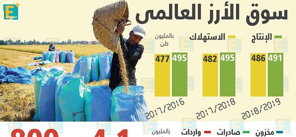    «الزراعة الأمريكية»: مصر زرعت 800 ألف فدان ومخزونها واستهلكنا 4 ملايين و100 ألف طن فى 2018 -2019