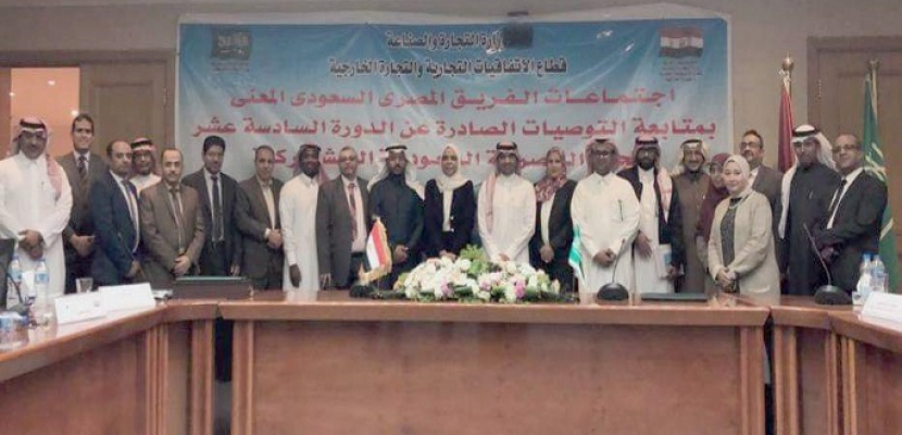 القاهرة تستضيف الاجتماع الأول لفريق العمل المصرى السعودى
