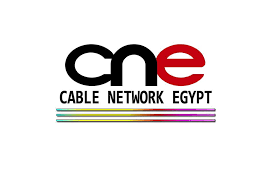   «المصرية للقنوات الفضائية»: عودة بث قنوات «بي إن سبورتس» بشكل طبيعي