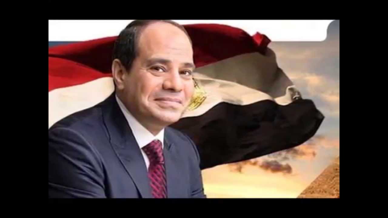     أبو العطا: زيادة تدفقات العملات الأجنبية على البنوك المصرية شهادة إيجابية لسياسات الرئيس السيسى