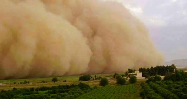   «الزراعة» ترفع حالة الطوارئ لمواجهة آثار العاصفة الترابية 