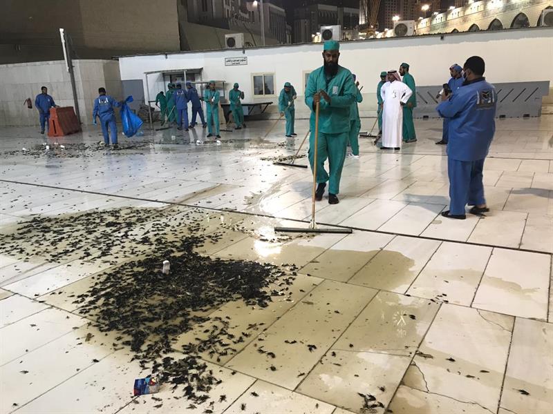   «شؤون الحرمين» تخصص 200 عامل لتطهير المسجد الحرام من الحشرات