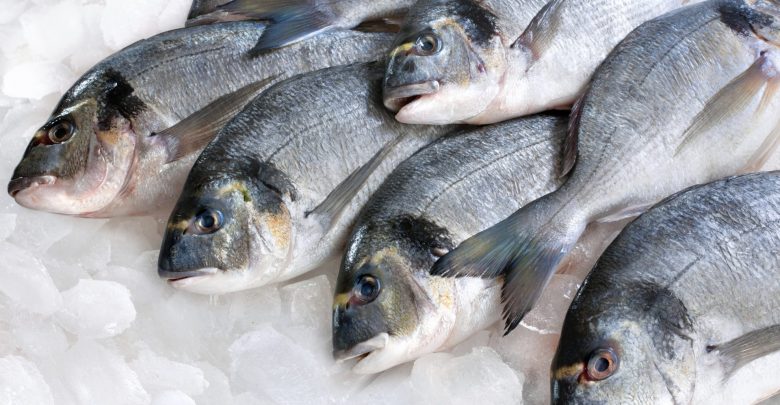   مبادرة لـ «التموين بالأقصر».. بيع كيلو الأسماك بـ 15 جنيهًا و 7 جنيهات لكيلو السكر