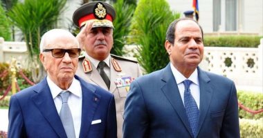   الرئيس التونسى يؤكد قدرة السيسى على القيام بعمل كبير تجاه أفريقيا