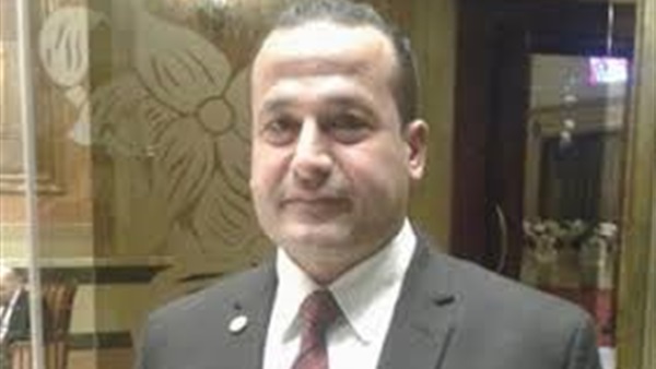   دكتور محمد عمارة يعلن تأييده للتعديلات الدستورية المرتقبة