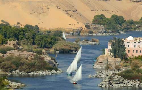   «مستقبل الإستثمار الزراعي بين مصر والسودان».. دراسة جديدة لـ«حوض النيل»
