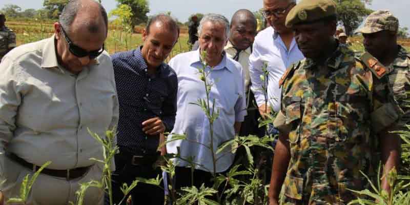   أبوستيت يلتقي رئيس زنزبار ويفتتح المرحلة الأولى من المزرعة المصرية المشتركة بالطاقة الشمسية والمتجددة بتنزانيا