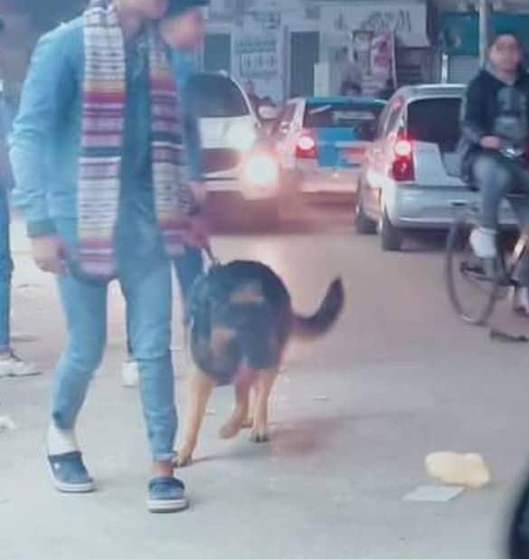   مباحث دمياط تلقي القبض على شاب يصطحب كلبا لإرهاب المارة بميدان سرور