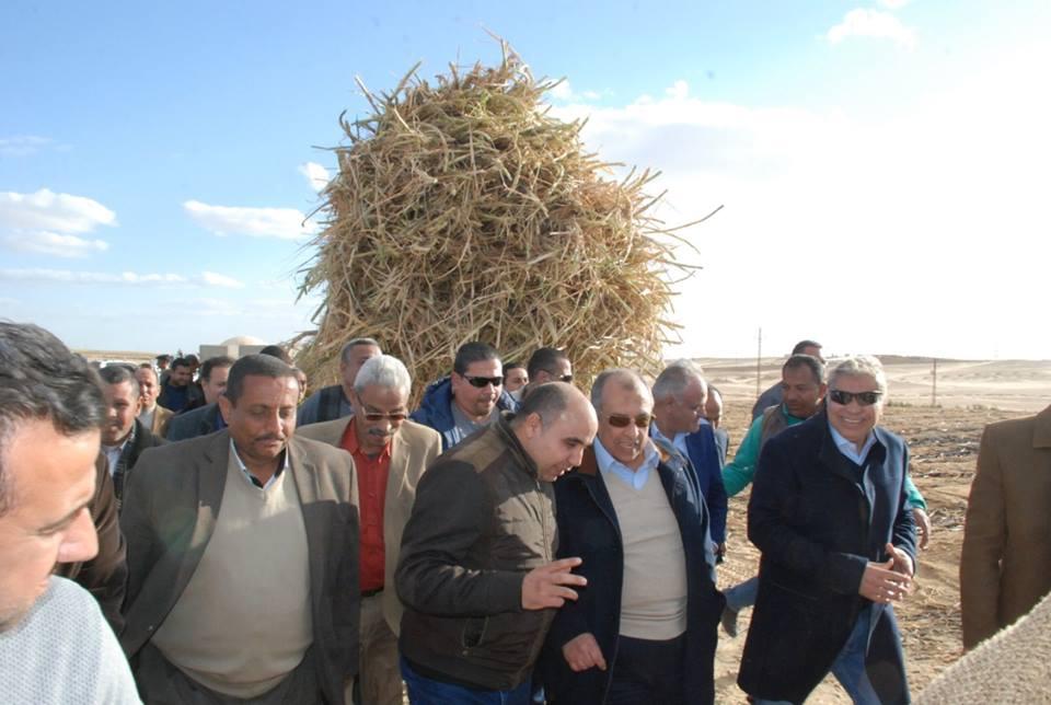    وزير الزراعة يقييم تجربة زراعة قصب السكر في الصحراء بالتنقيط