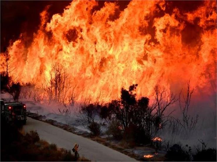   فيديو .. حرائق الغابات فى كاليفورنيا مشاهد صادمة