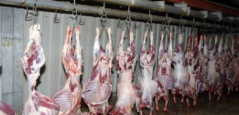 «التموين» : طرح 30 % زيادة من اللحوم والدواجن استعدادًا لشهر رمضان