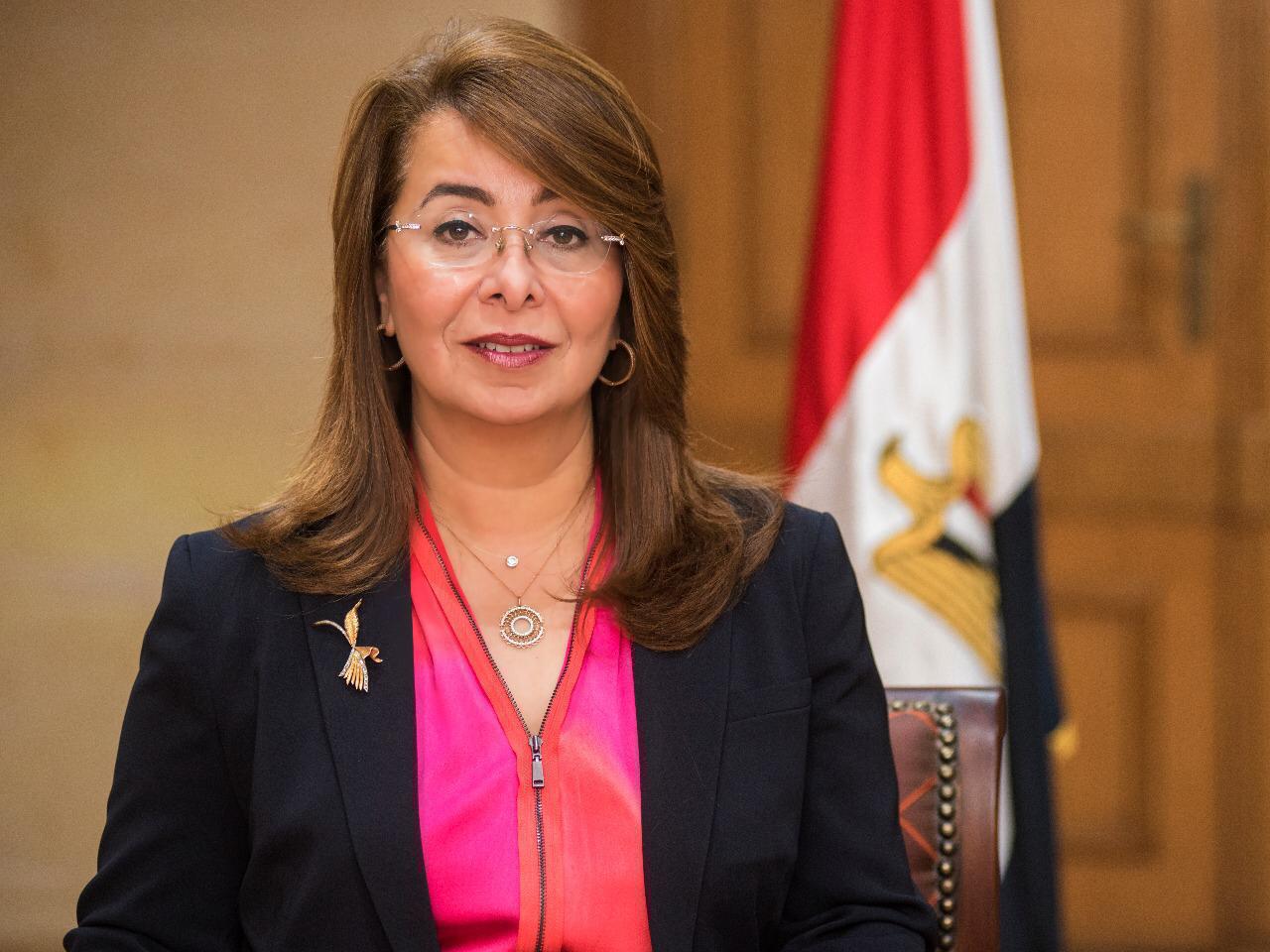   «والى» تستعرض تجربة مصر فى الحماية الاجتماعية بالأمم المتحدة 