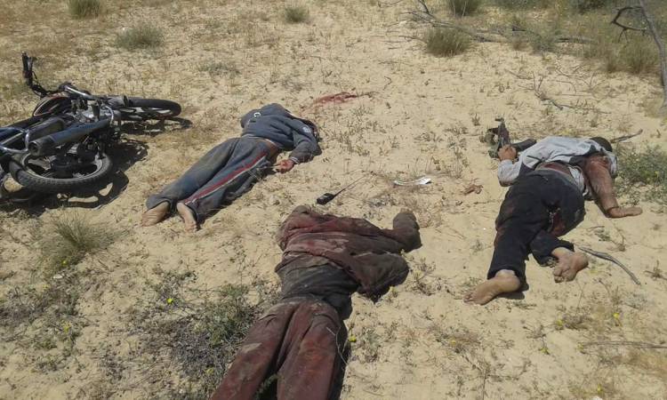   عاجل|| مقتل 11 إرهابيًا قبل تنفيذ هجمات ضد قوات الجيش والشرطة بالعريش