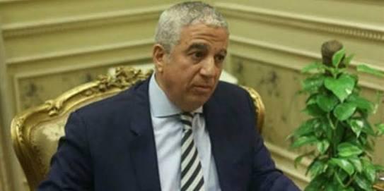   رئيس خارجية النواب: تصويت المصريين بقوة في الخارج رسالة بأن الجميع على قلب رجل واحد خلف القيادة السياسية