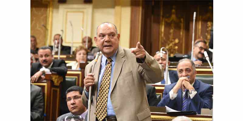   «برلمانـي» : المشاركة الإيجابية للمصريين في الاستفتاء الدستوري بمثابة كتابة تاريخ جديد للدولة