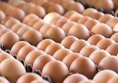   «الزراعة» تعلن تصدير بيض المائدة إلى دولة البحرين للمرة الثانية