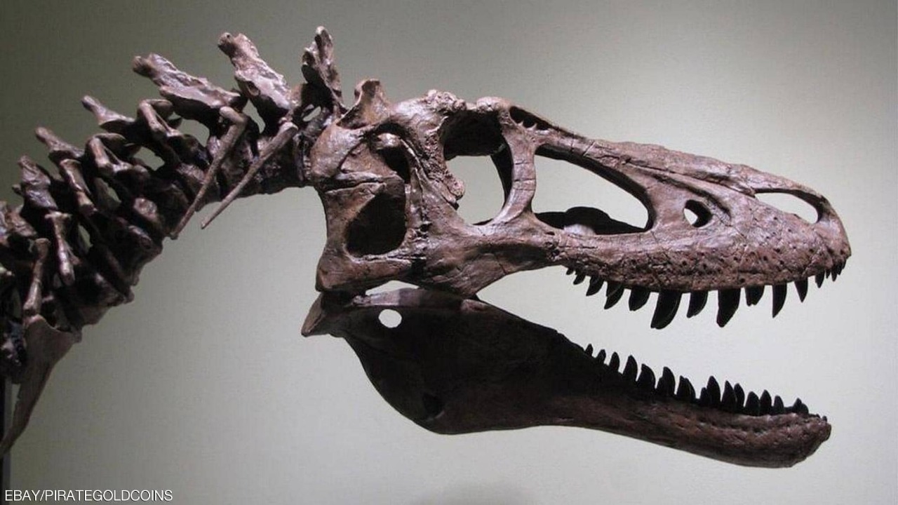   عرض دايناصور للبيع على موقع إلكتروني