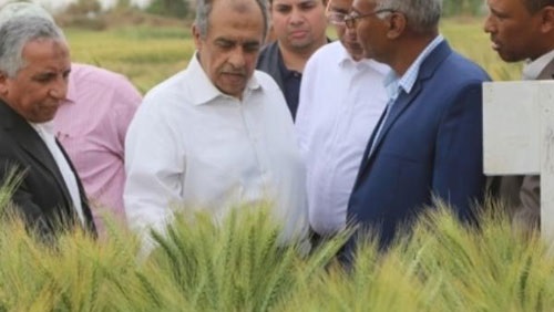   وزير الزراعة يفتتح موسم محصول القطن بمحطة بحوث سخا بكفر الشيخ