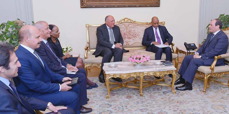   الرئيس عبد الفتاح السيسى يستقبل المدير التنفيذي لوكالة «النيباد»