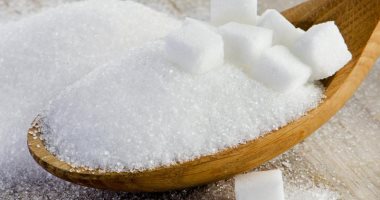   خبراء الزراعة يضعون الحلول للقضاء على فجوة إنتاج السكر