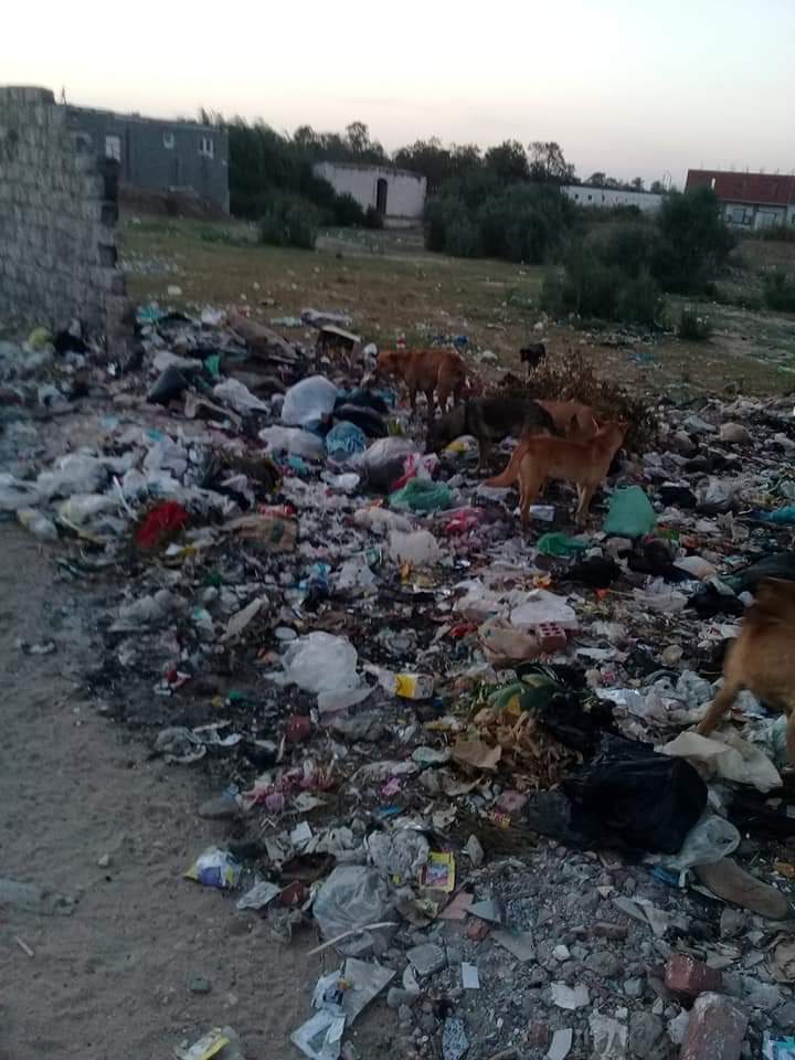   صور.. إنتشار القمامة في السبع آبار الغربية