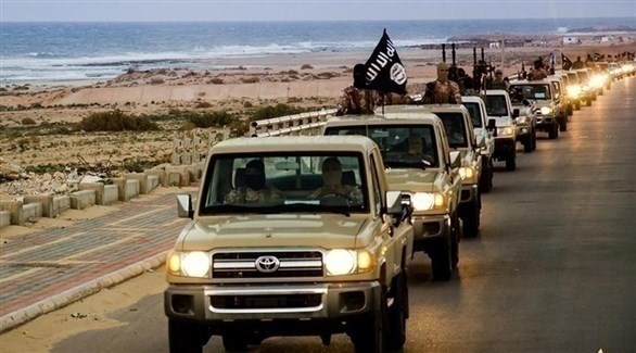   «سيارات الدفع الرباعي».. الجاني الحقيقي في معارك الإرهاب