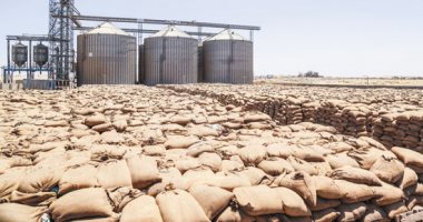   محافظ أسوان يتابع توريد 32 ألف و 24 طن من محصول القمح للموسم الحالى حتى الآن بالصوامع والشون بنطاق المحافظة