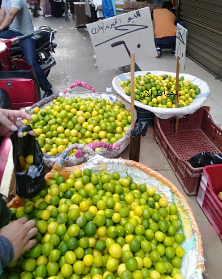   إشتعال أسعار الليمون في محافظة دمياط الكيلو وصل 60 جنيه والليمونة بحجم البلية والمستهلكون نعصر مانجة عالشوربة أرخص