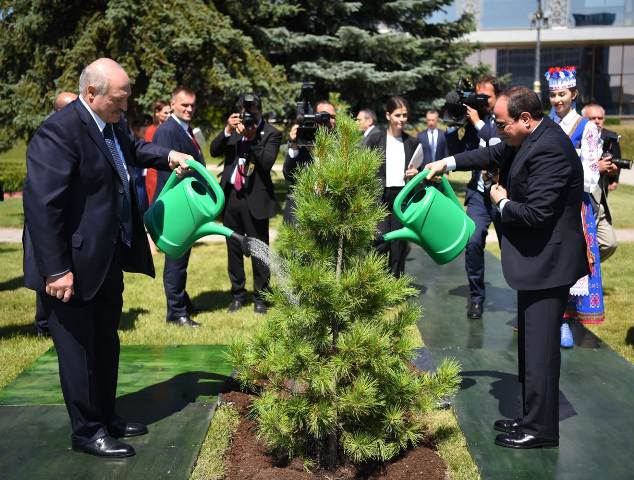   الرئيس السيسي يشارك لوكاتشينكو في زرع شجرة الأرز  بحديقة القصر الرئاسي البيلاروسي
