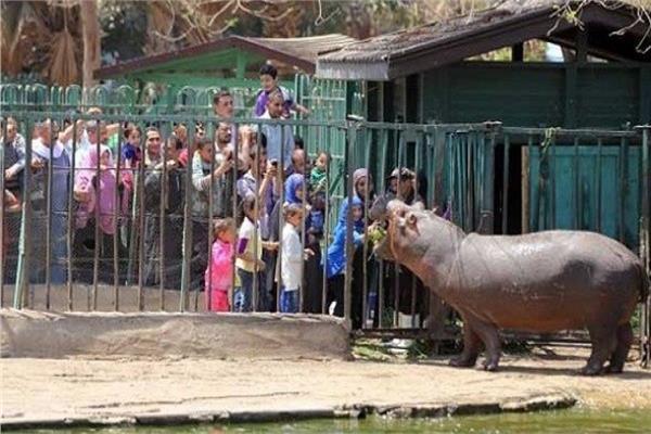   حديقة الحيوان تستقبل المواطنين فى أول أيام العيد