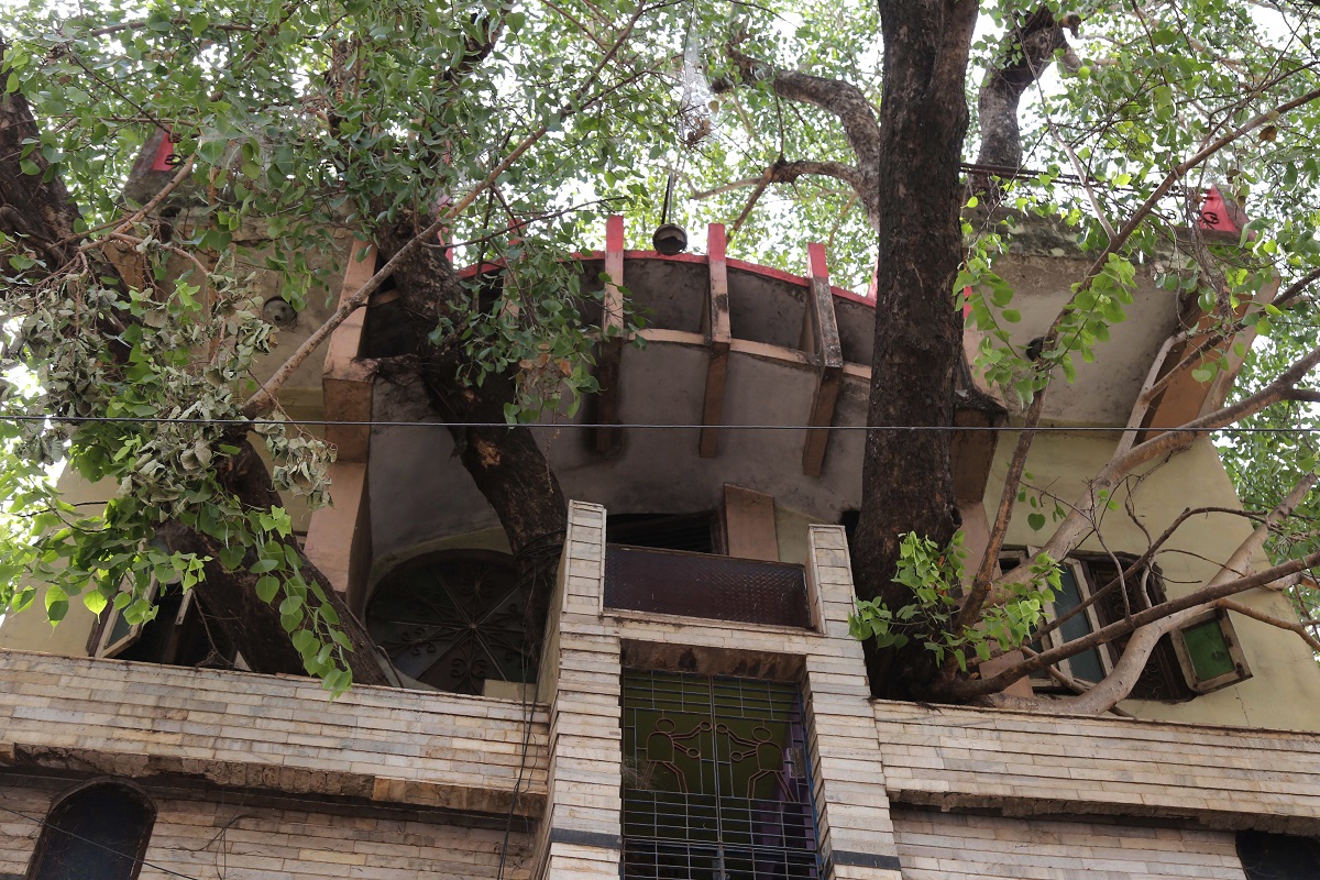   شجرة تسكن منزلا في الهند عمرها 150 عاما