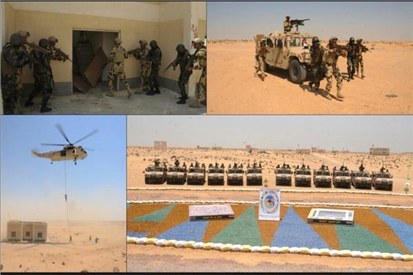   القوات الخاصة من مصر وتوجو تنفذ عملية ناجحة لإقتحام بؤرة إرهابية مسلحة وتطهيرها