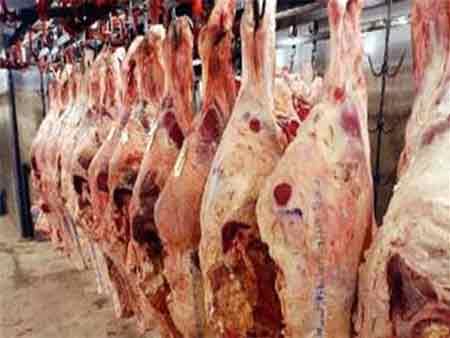   «حماية المستهلك» تقدم نصائح هامة لمعرفة الغش والفساد فى اللحوم