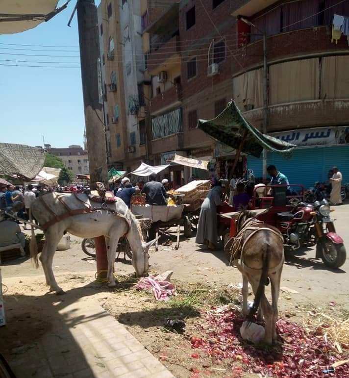   بالصور| الأسواق العشوائية تُغلق شوارع نجع حمادي والوحدة المحلية تتجاهل عن عمد