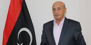  رئيس «النواب» الليبي: الشرعية تكتسب من إرادة الليبيين