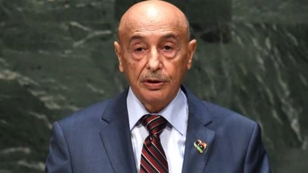   رئيس البرلمان الليبي: الرئيس السيسى حريص على استقرار ليبيا